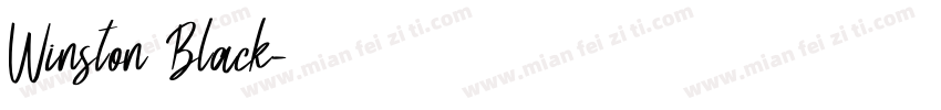 Winston Black字体转换